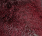 Preview: TL-001   Tibetlamm verschiedene Farben