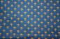 Preview: WEST-02   Schirm blau