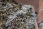 Preview: MOH-2501   Mohair gewirbelt geknautscht geätzt versch.Farben