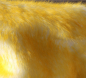 Preview: PLÜ-5502   Plüsch Creme gespitzt versch.Knallfarben