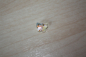 Preview: EB-10-1362   Schmetterling