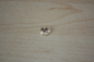 Preview: SWA-5742-0010   Herz