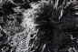 Preview: TL-001   Tibetlamm verschiedene Farben