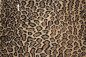 Preview: UPH-073   Jaguar