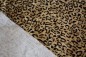 Preview: UPH-086   Leopard