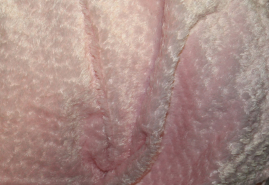 MFPLÜ-1006   Plüsch Rosa