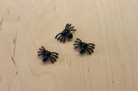 AL-13718   Spinne