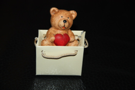 IMH-007224   Bär in Tasche