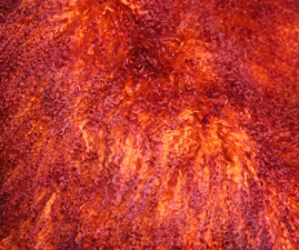 TL-001   Tibetlamm verschiedene Farben