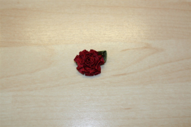 EB-200-4186   Blüte