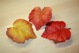 MF-104102211   Herbstlaub