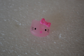 KN-PHIL01   Katze