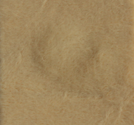 CASH-048   Teint