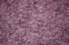 MOH-201539   Blaubeer mit grauen Haaren Alp