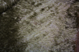 MOH-1821   Dunkeloliv Bicolor