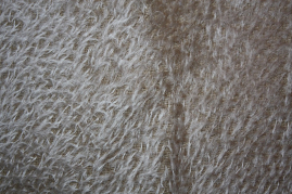 MOH-909   Mohair Schlammbraun