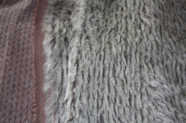 MOH-2009   Schilf mit schwarzen Haaren Alp
