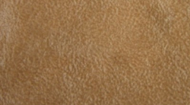 SUE-19   Beige