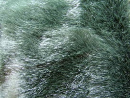 PLÜ-2501   Plüsch Flaschengrün