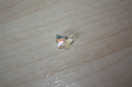EB-10-1362   Schmetterling