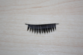 Preview: CH-W401   Wimpern