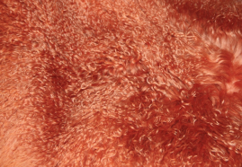 TL-001   Tibetlamm verschiedene Farben