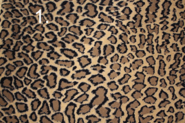UPH-073   Jaguar