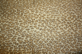 UPH-070   Katze