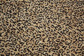 UPH-086   Leopard