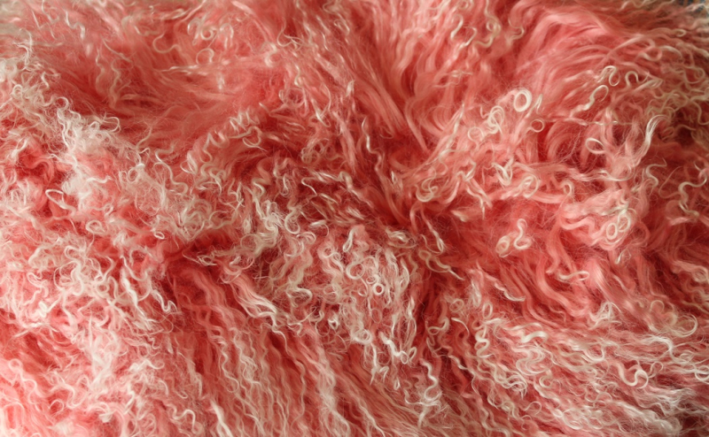 TL-001   Tibetlamm verschiedene Farben