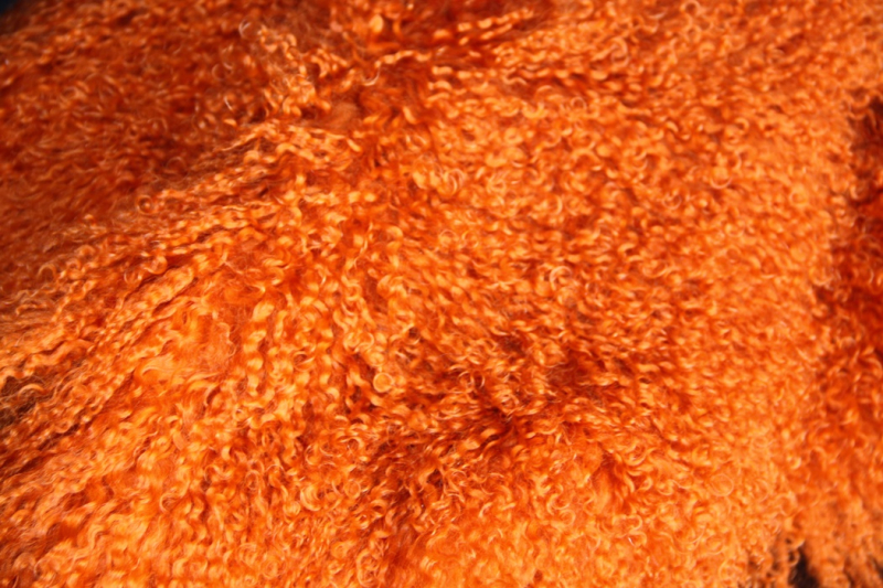 TL-001   Tibetlamm verschiedene Farben