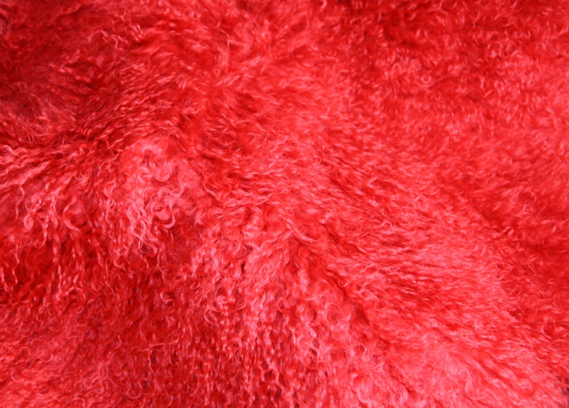 TL-001   Tibetlamm verschiedene Farben