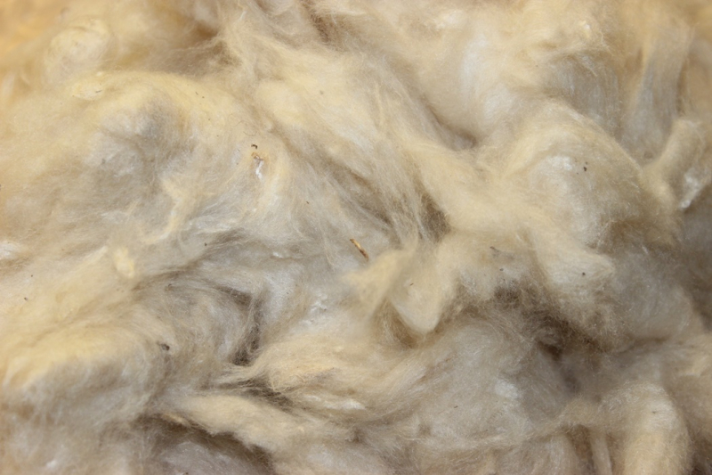 FÜL-005   Kapokwolle