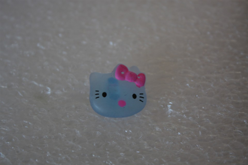 KN-PHIL01   Katze