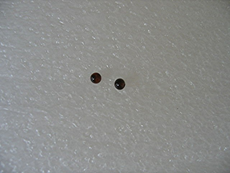 KA-0023tga Kugelaugen Tigerauge  2-3mm