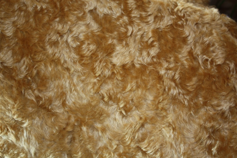 MOH-2503   Mohair Goldbraun