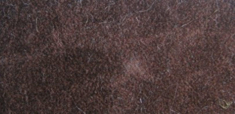 SUE-12   Mocca