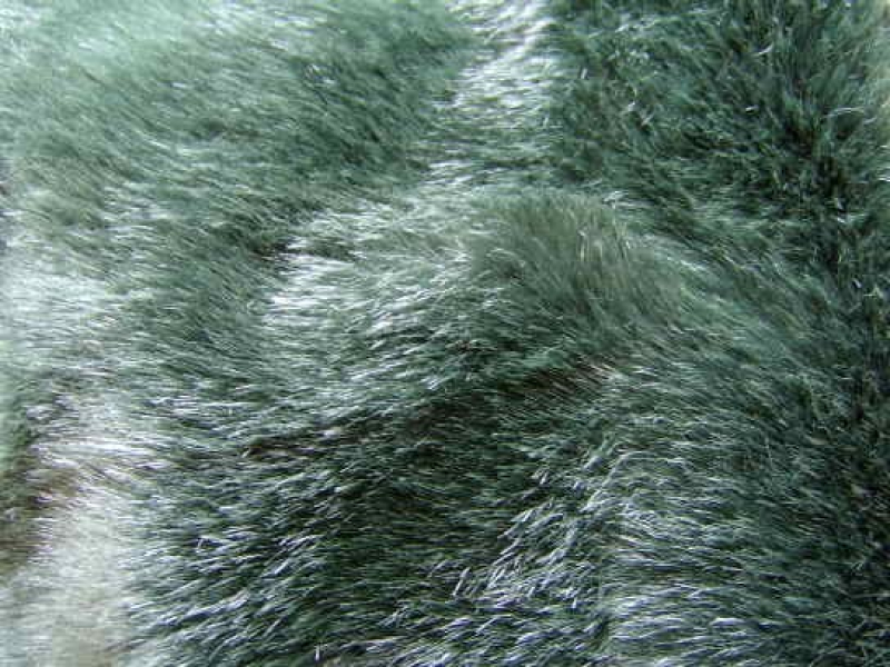 PLÜ-2501   Plüsch Flaschengrün