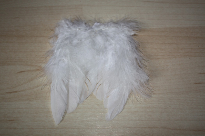 MF-0500527-234   Engelflügel versch.Größen weiss