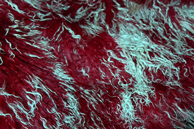 TL-001   Tibetlamm verschiedene Farben