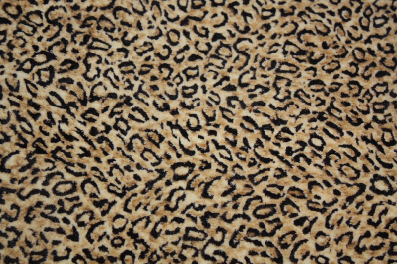 UPH-086   Leopard